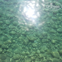 фото из отзыва ID 1974036