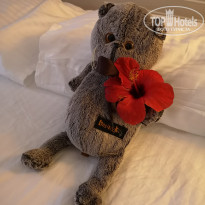 фото из отзыва ID 1974248