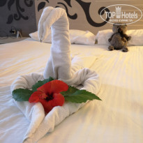 фото из отзыва ID 1974248