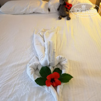 фото из отзыва ID 1974248