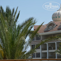 фото из отзыва ID 1974248