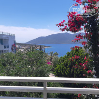 фото из отзыва ID 1973841