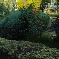 фото из отзыва ID 1974372