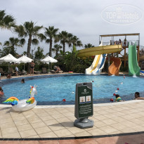 фото из отзыва ID 1974538