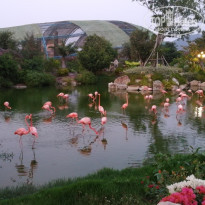 фото из отзыва ID 1974380