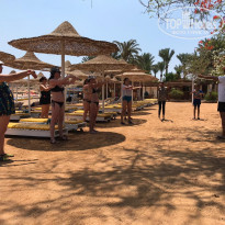 фото из отзыва ID 1974568