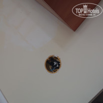 фото из отзыва ID 1974635