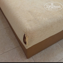 фото из отзыва ID 1974635