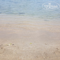 фото из отзыва ID 1974647