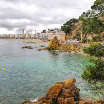 фото из отзыва ID 1974688