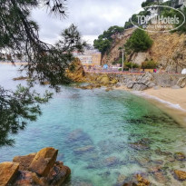 фото из отзыва ID 1974688