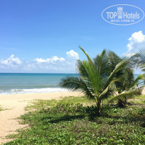 фото из отзыва ID 1974435