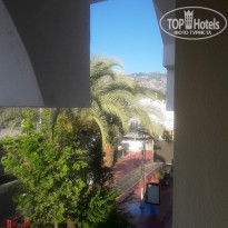 фото из отзыва ID 1972524