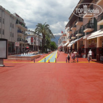 фото из отзыва ID 1972524