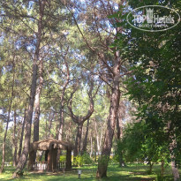 фото из отзыва ID 1974818