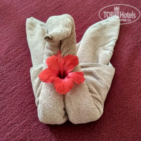 фото из отзыва ID 1974987