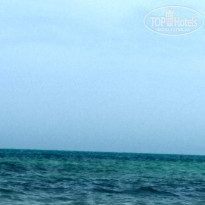 фото из отзыва ID 1974987