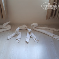 фото из отзыва ID 1975136