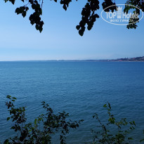 фото из отзыва ID 1975136