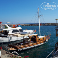 фото из отзыва ID 1975136