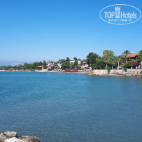 фото из отзыва ID 1975136