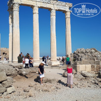 фото из отзыва ID 1975136