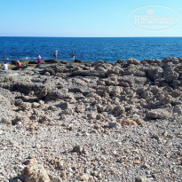 фото из отзыва ID 1975136