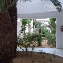 фото из отзыва ID 1975181