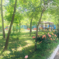 фото из отзыва ID 1975191