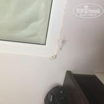 фото из отзыва ID 1975175