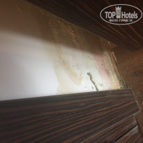 фото из отзыва ID 1975175