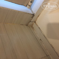 фото из отзыва ID 1975175