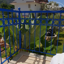 фото из отзыва ID 1974959