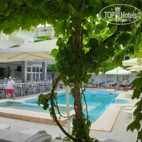 фото из отзыва ID 1975242