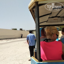 фото из отзыва ID 1975250