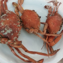 фото из отзыва ID 1975250