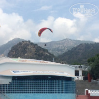 фото из отзыва ID 1975341