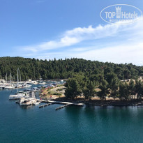 фото из отзыва ID 1975292