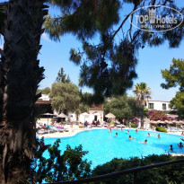 фото из отзыва ID 1975389