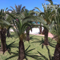 фото из отзыва ID 1975376