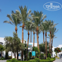 фото из отзыва ID 1975448