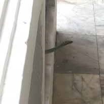 фото из отзыва ID 1975544