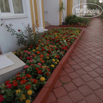 фото из отзыва ID 1975545