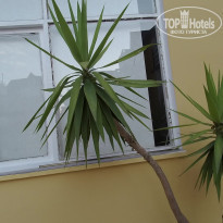 фото из отзыва ID 1975545