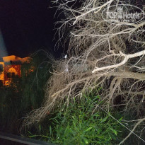 фото из отзыва ID 1975524