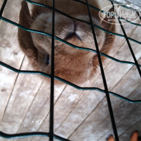 фото из отзыва ID 1975751