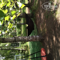 фото из отзыва ID 1975751