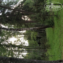 фото из отзыва ID 1975751