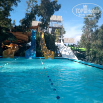 фото из отзыва ID 1975736