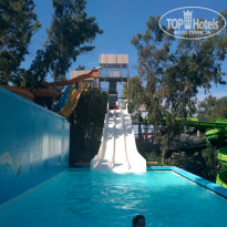 фото из отзыва ID 1975736